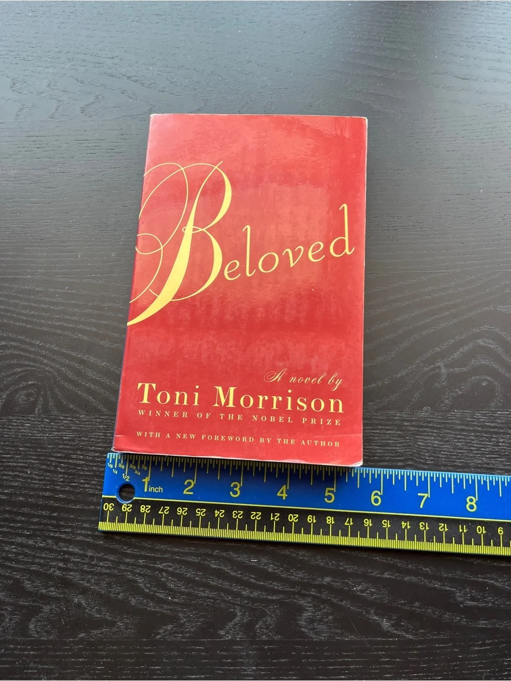 Vintage International Beloved Toni Morrison Paperback Red Book Approx 8 Inch